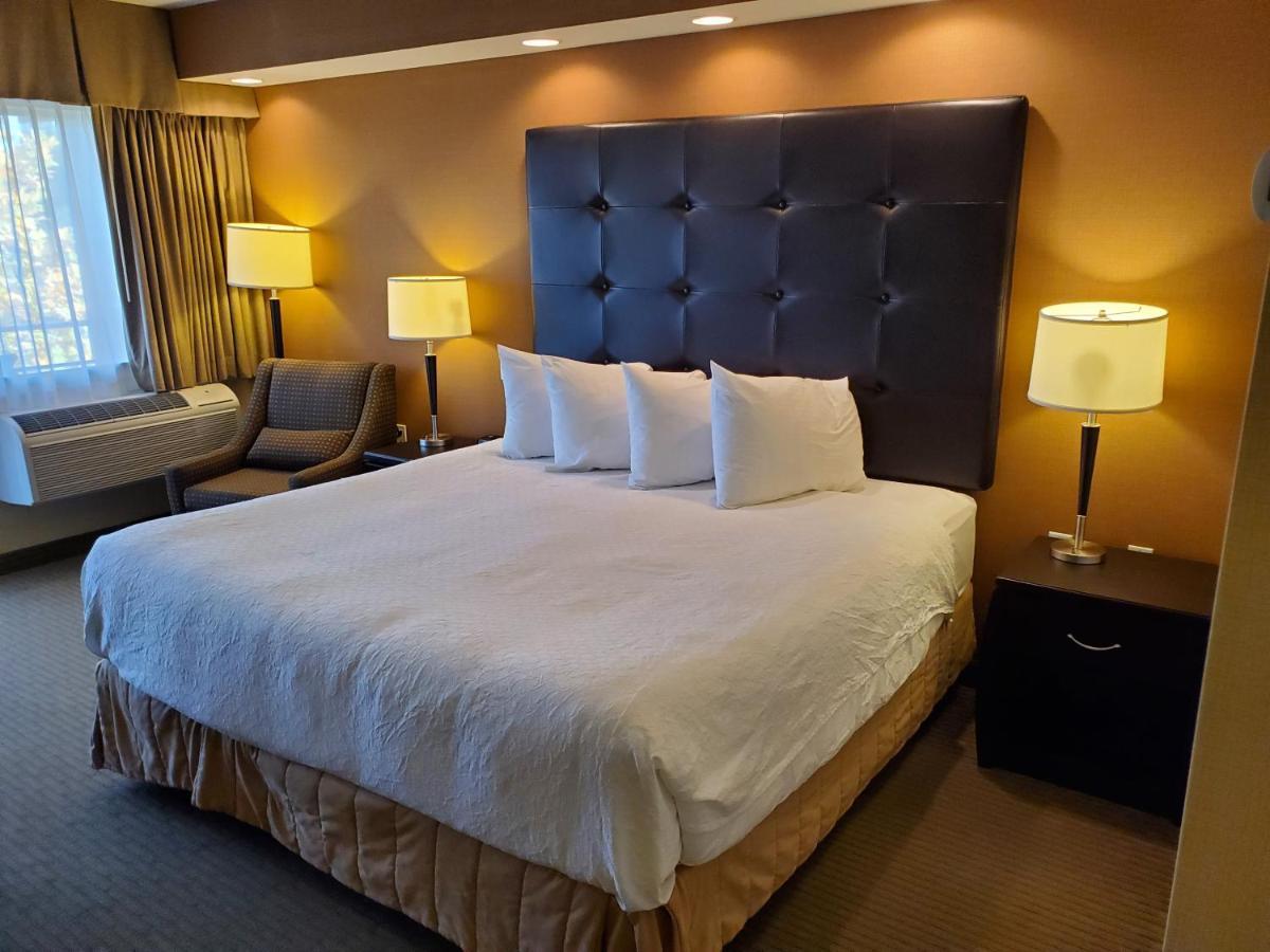 Western The Westerly 4* Courtenay