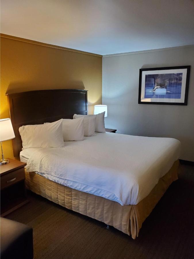 Hotel Western The Westerly 4*