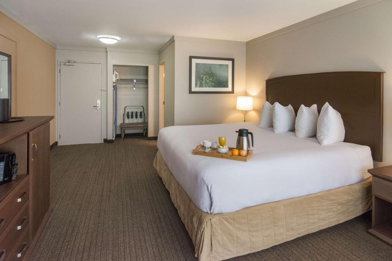 Western The Westerly 4* Courtenay